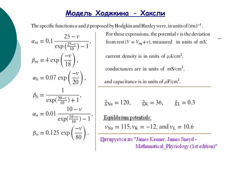 Модель Ходжкина - Хаксли